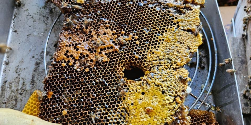 PHOTO 2025 09 01 16 32 57