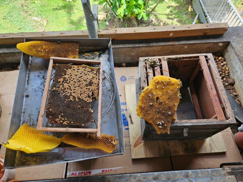 PHOTO 2025 09 01 16 32 57 2