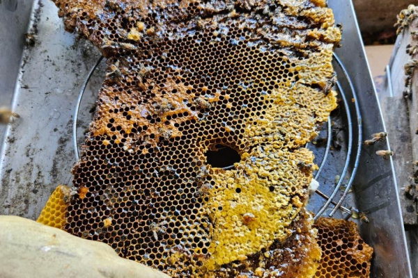 PHOTO 2025 09 01 16 32 57